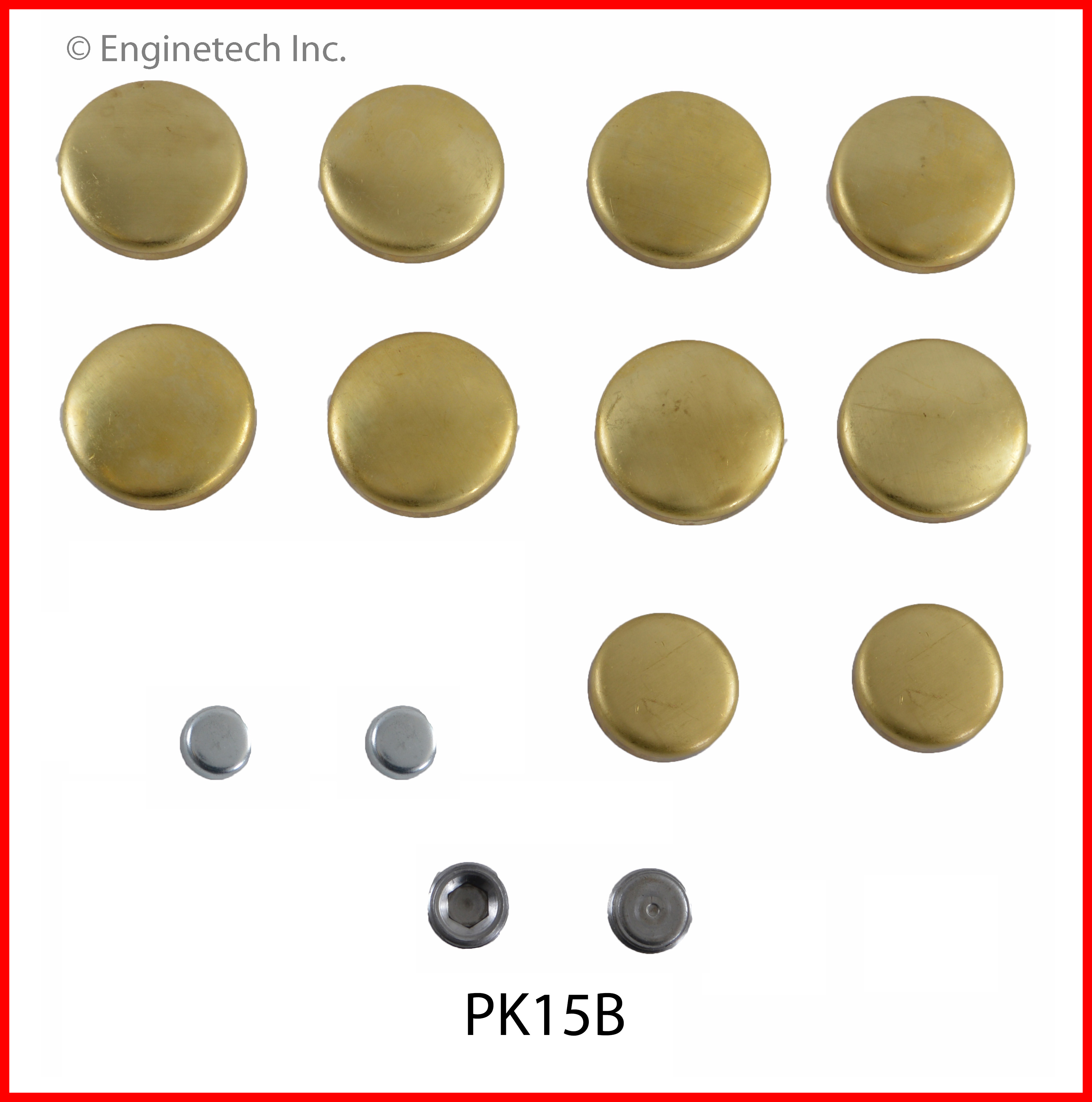 Engine Expansion Plug Kit