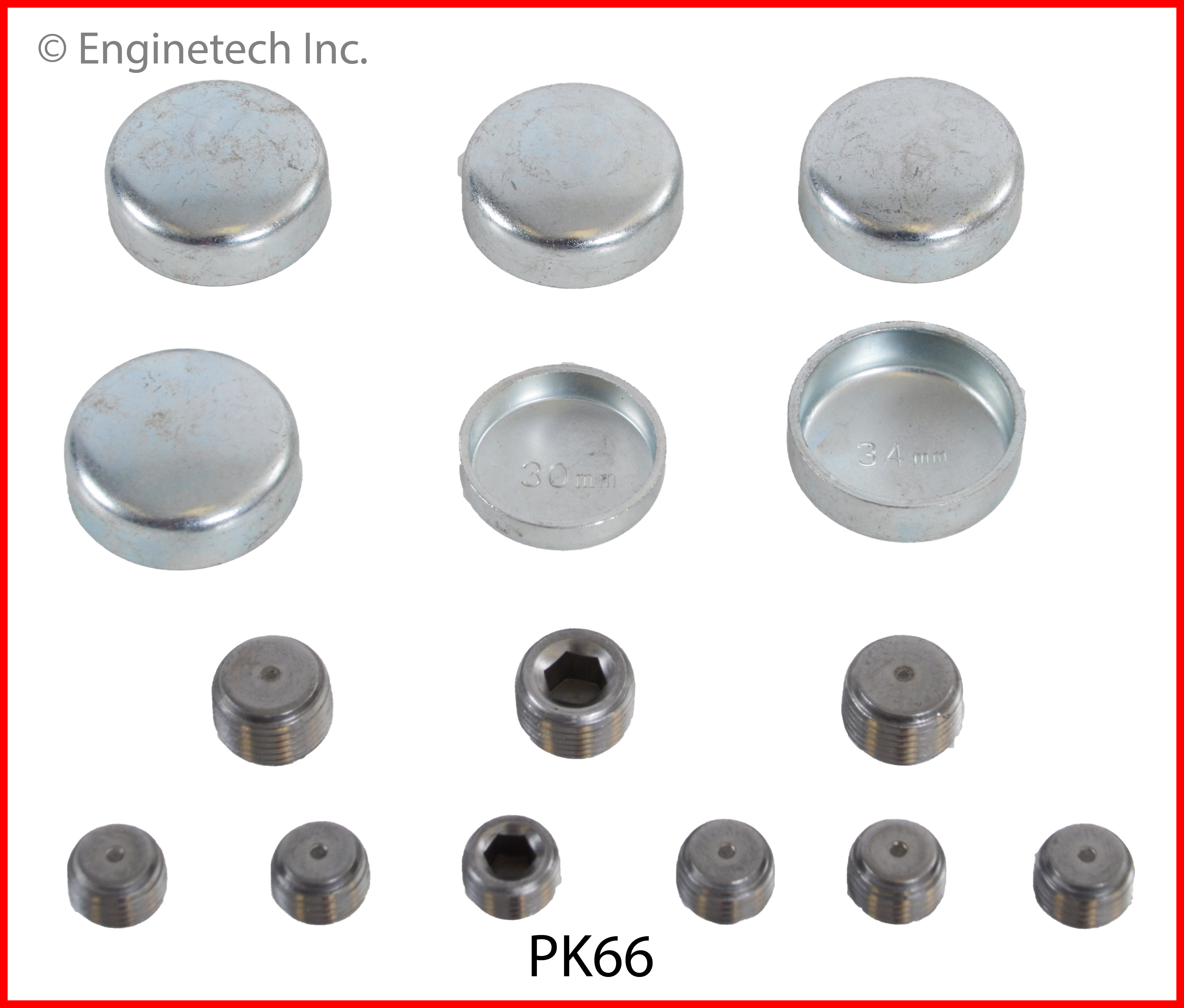 Engine Expansion Plug Kit