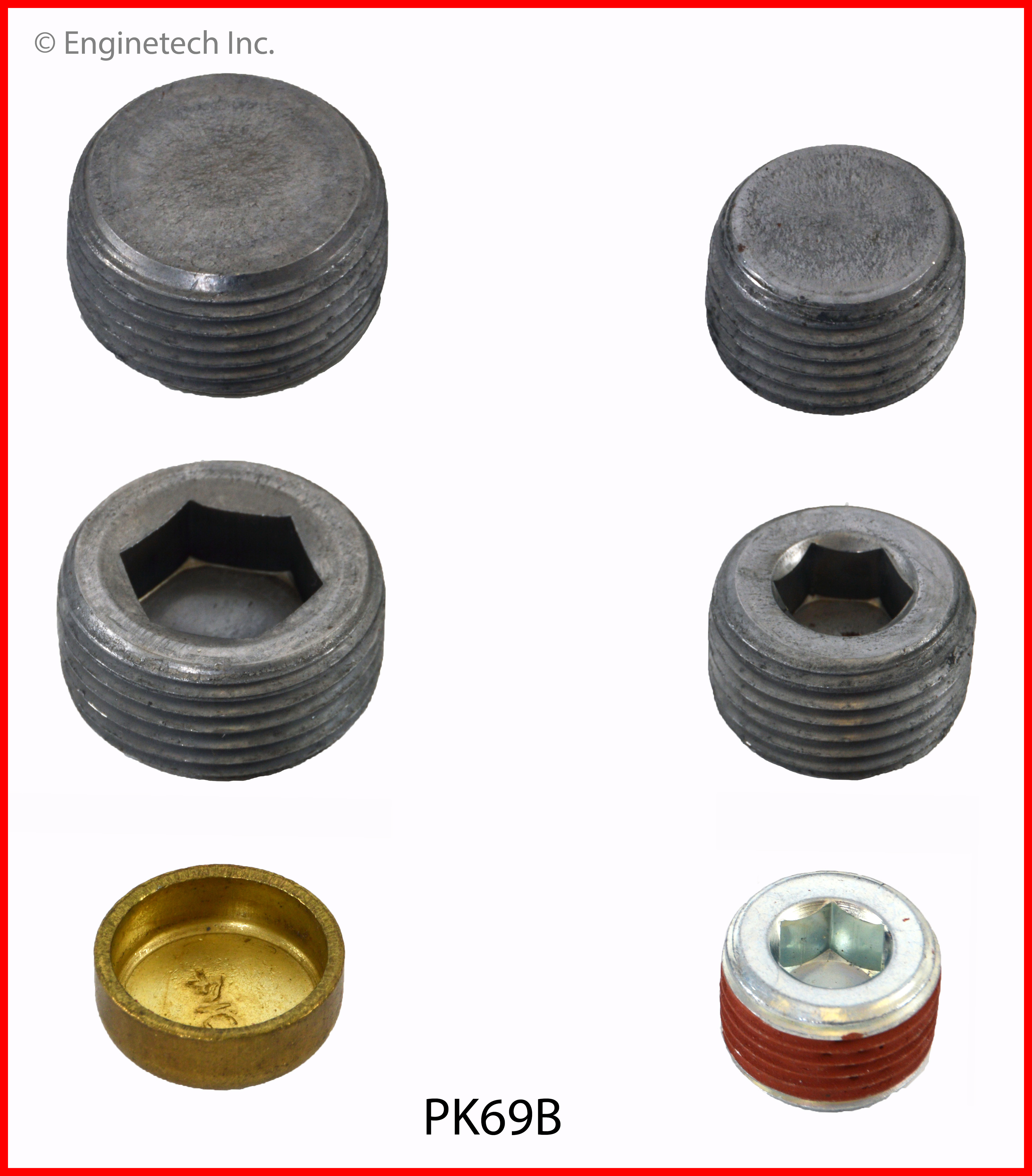 Engine Expansion Plug Kit