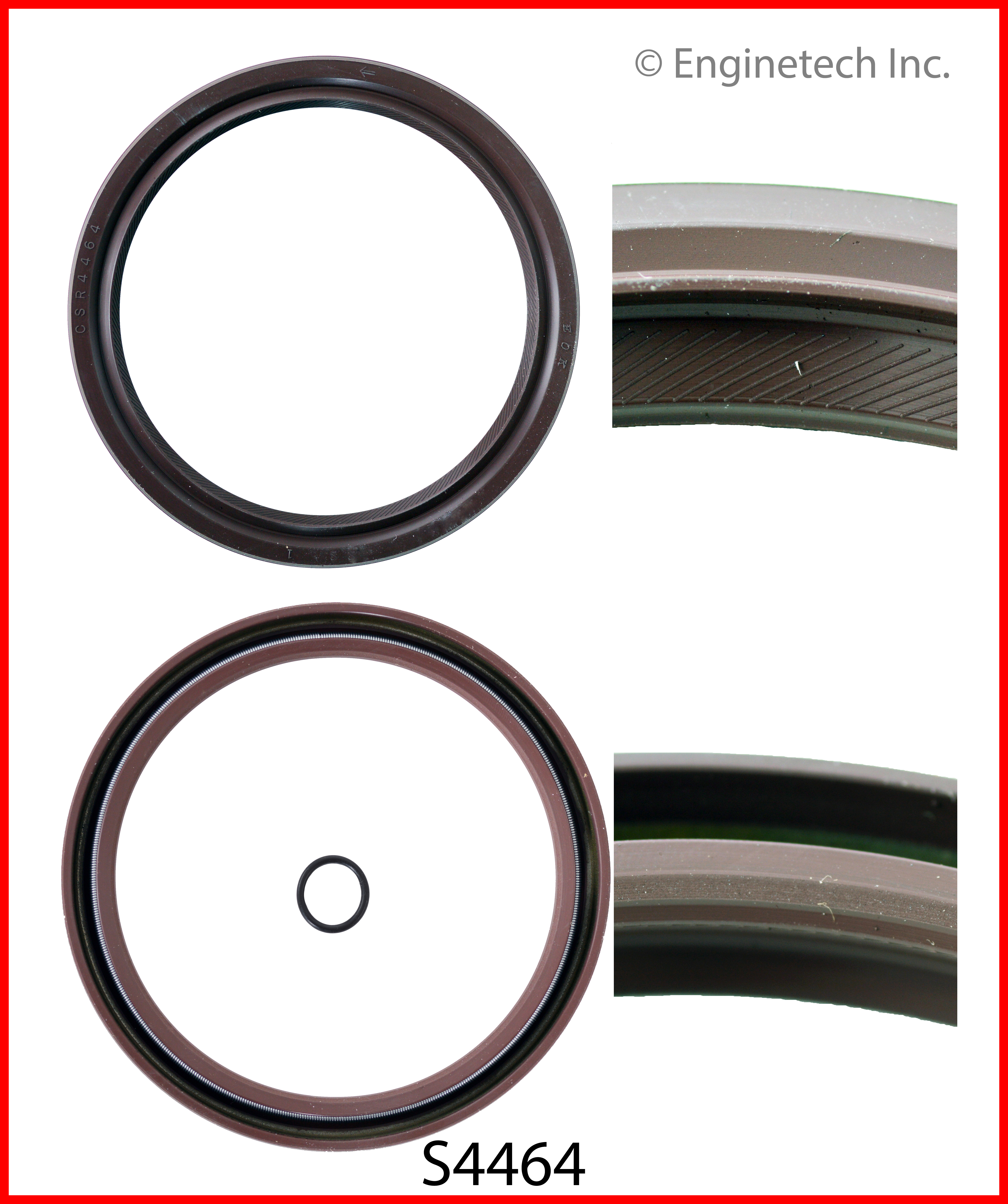 Engine Crankshaft Seal