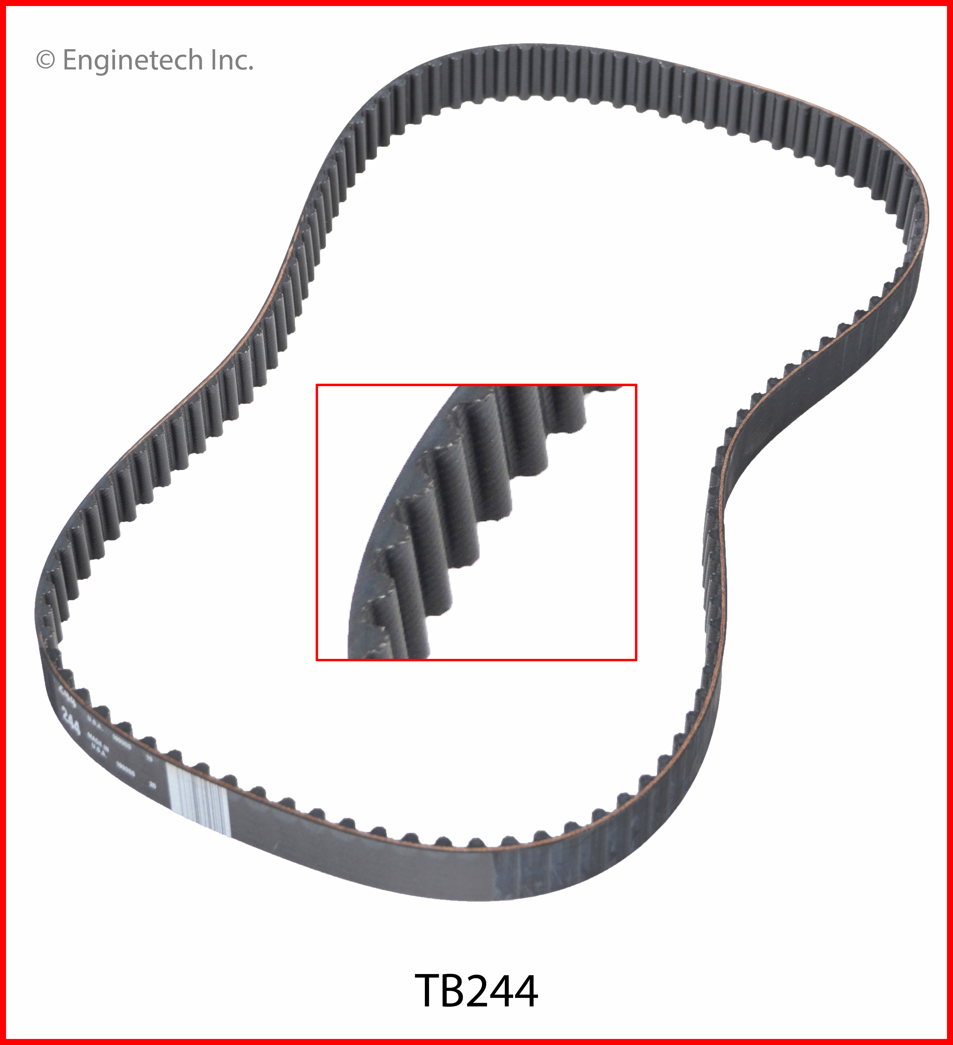 Engine Timing Belt