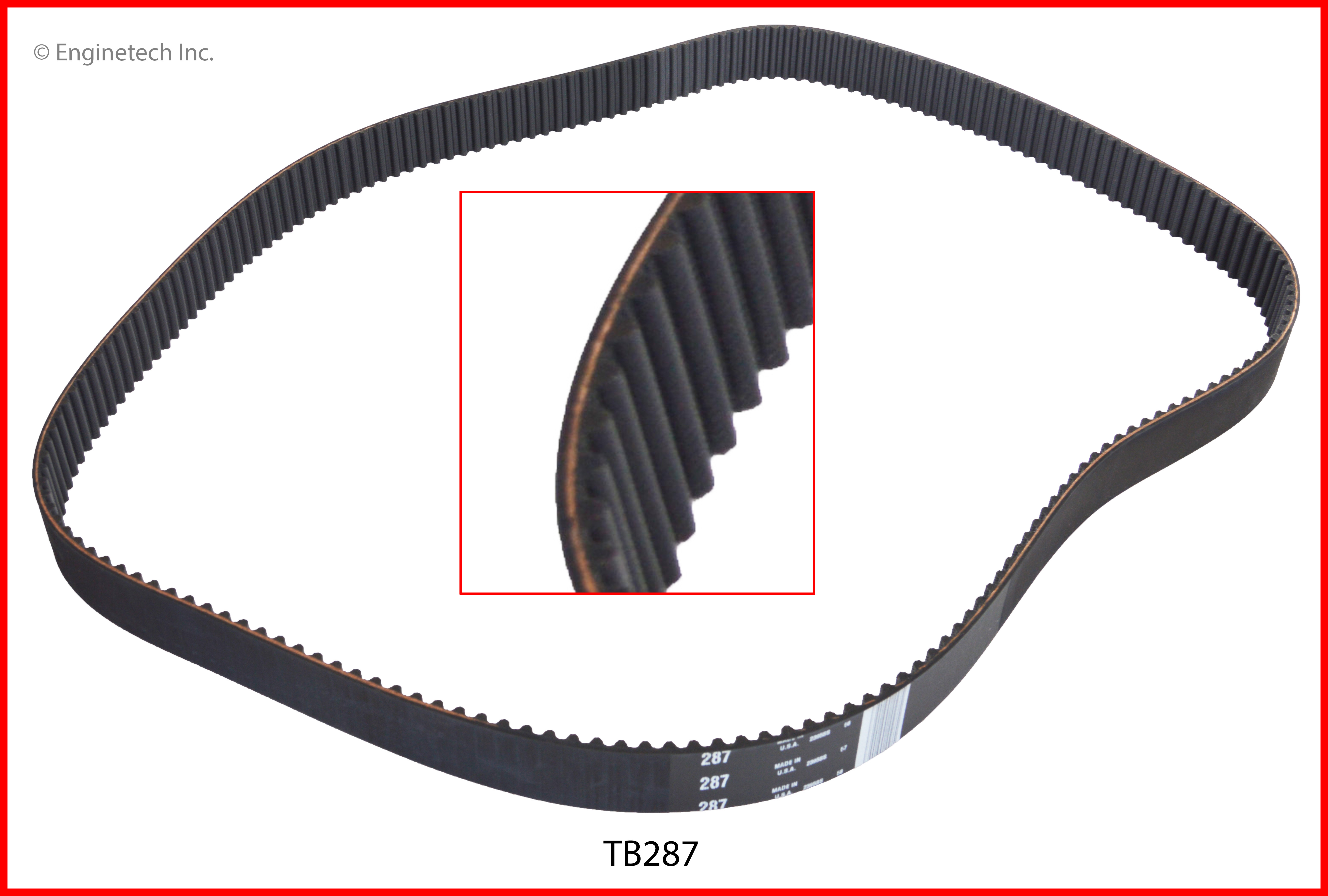 Engine Timing Belt