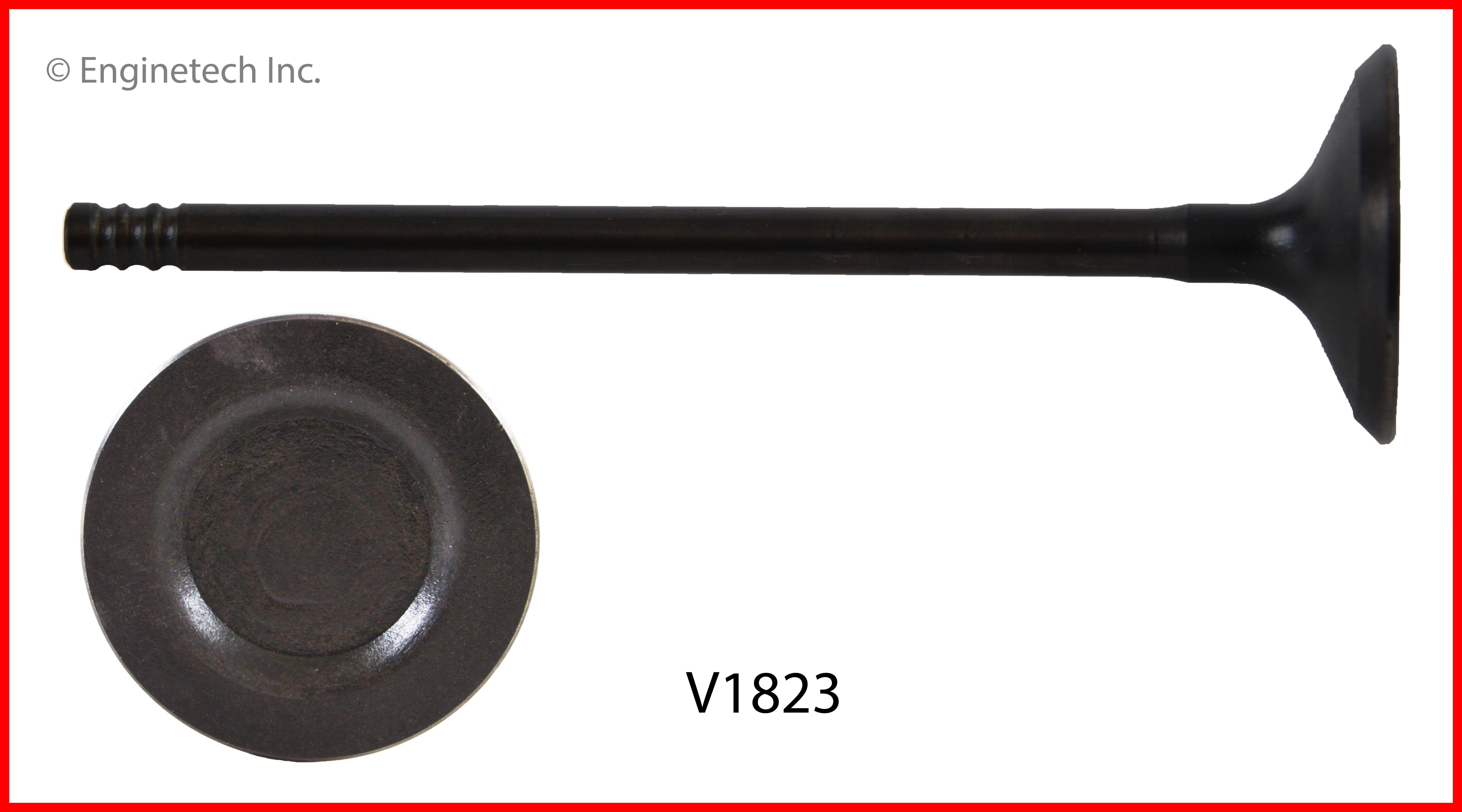 Engine Exhaust Valve