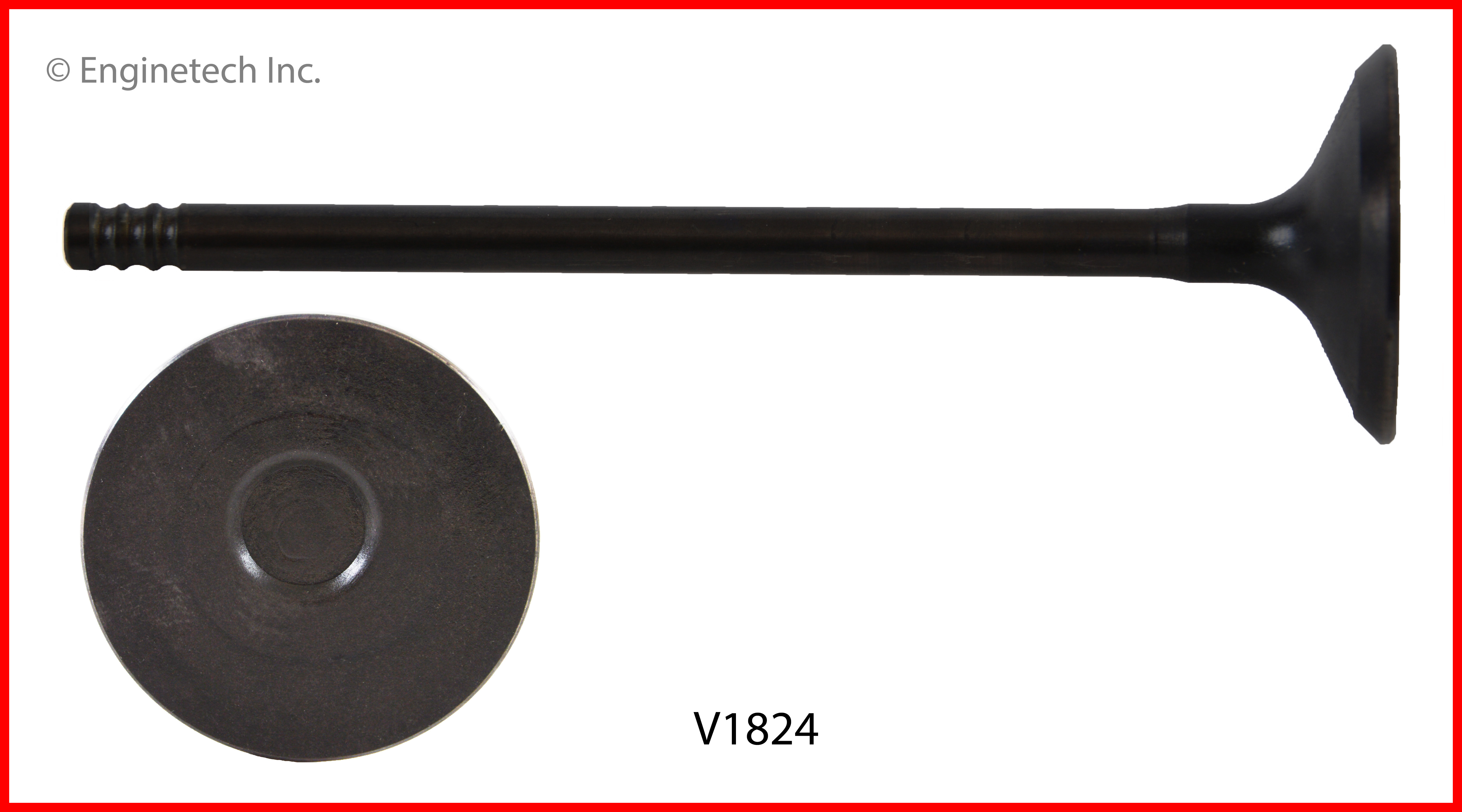 Engine Intake Valve