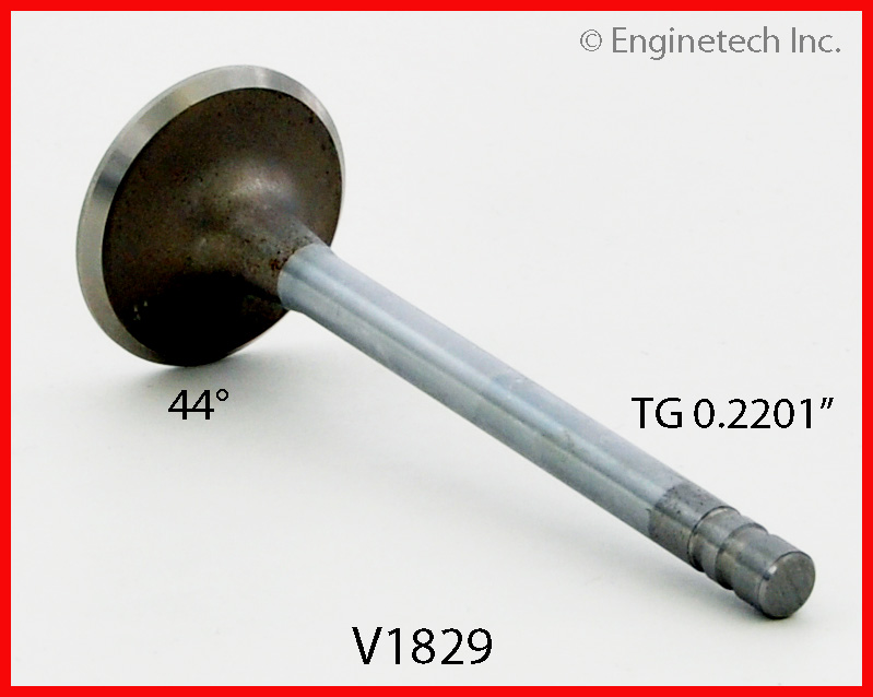 Engine Exhaust Valve