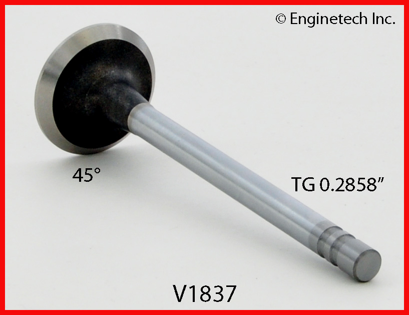 Engine Exhaust Valve