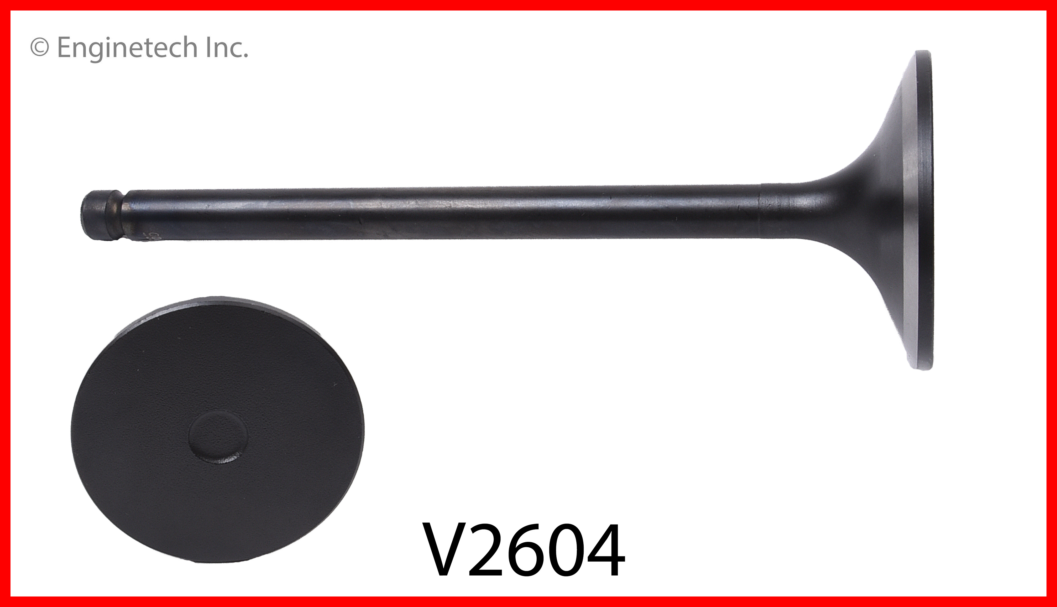 Engine Intake Valve