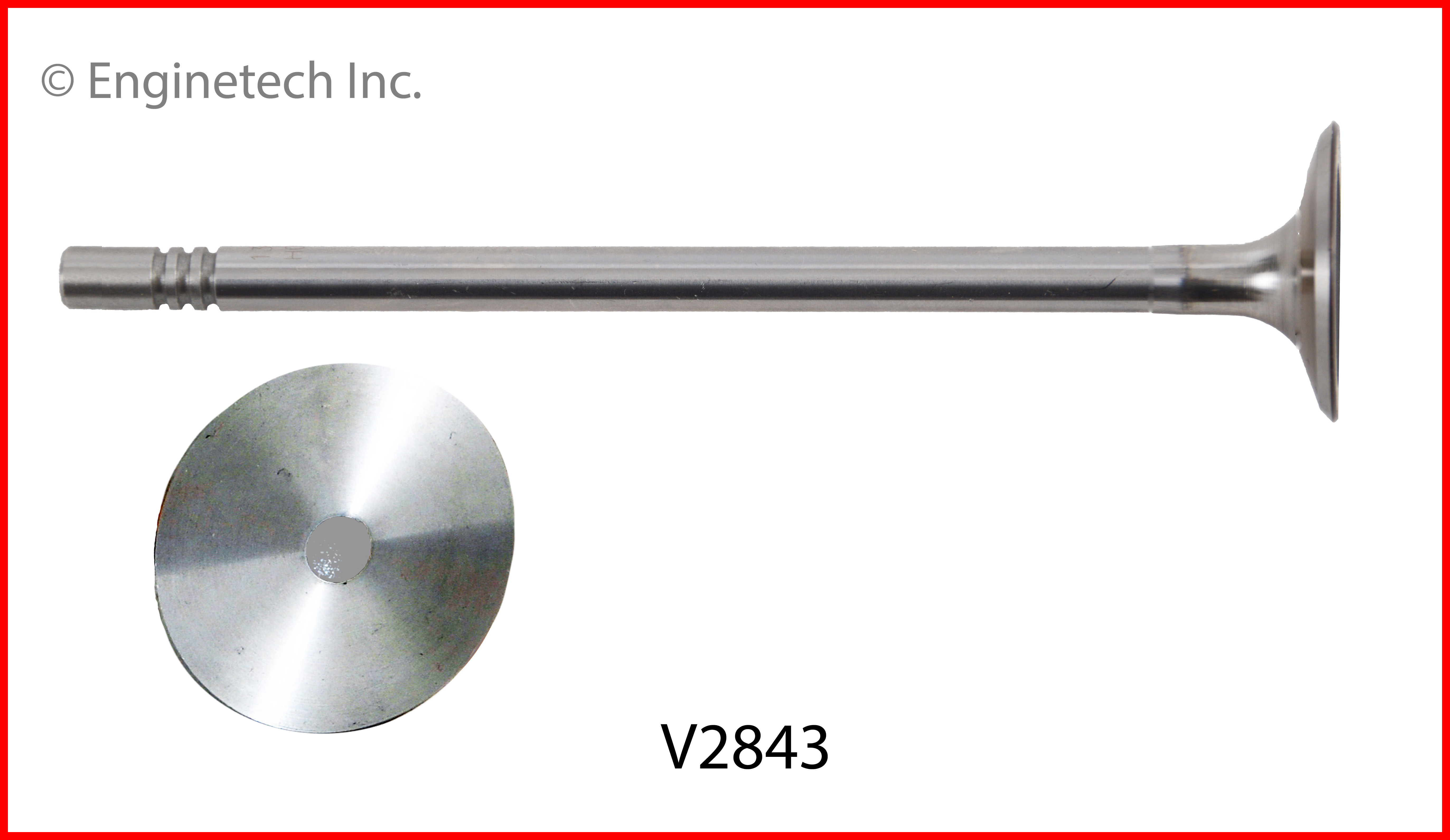 Engine Exhaust Valve