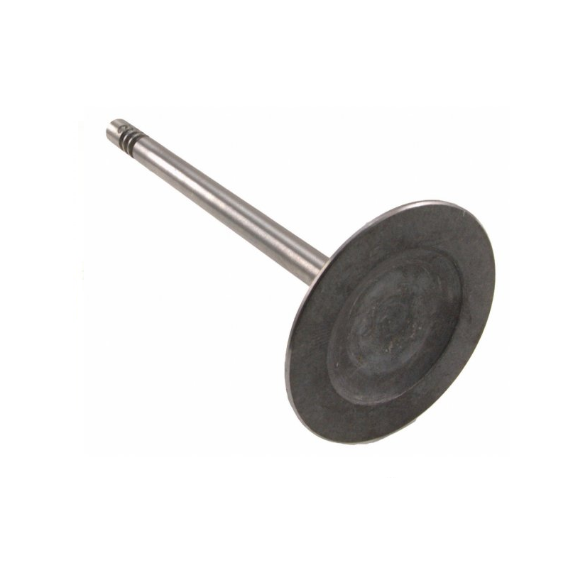 Engine Intake Valve