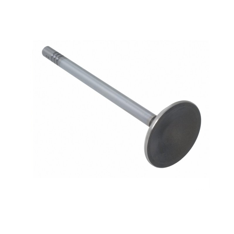 Engine Exhaust Valve