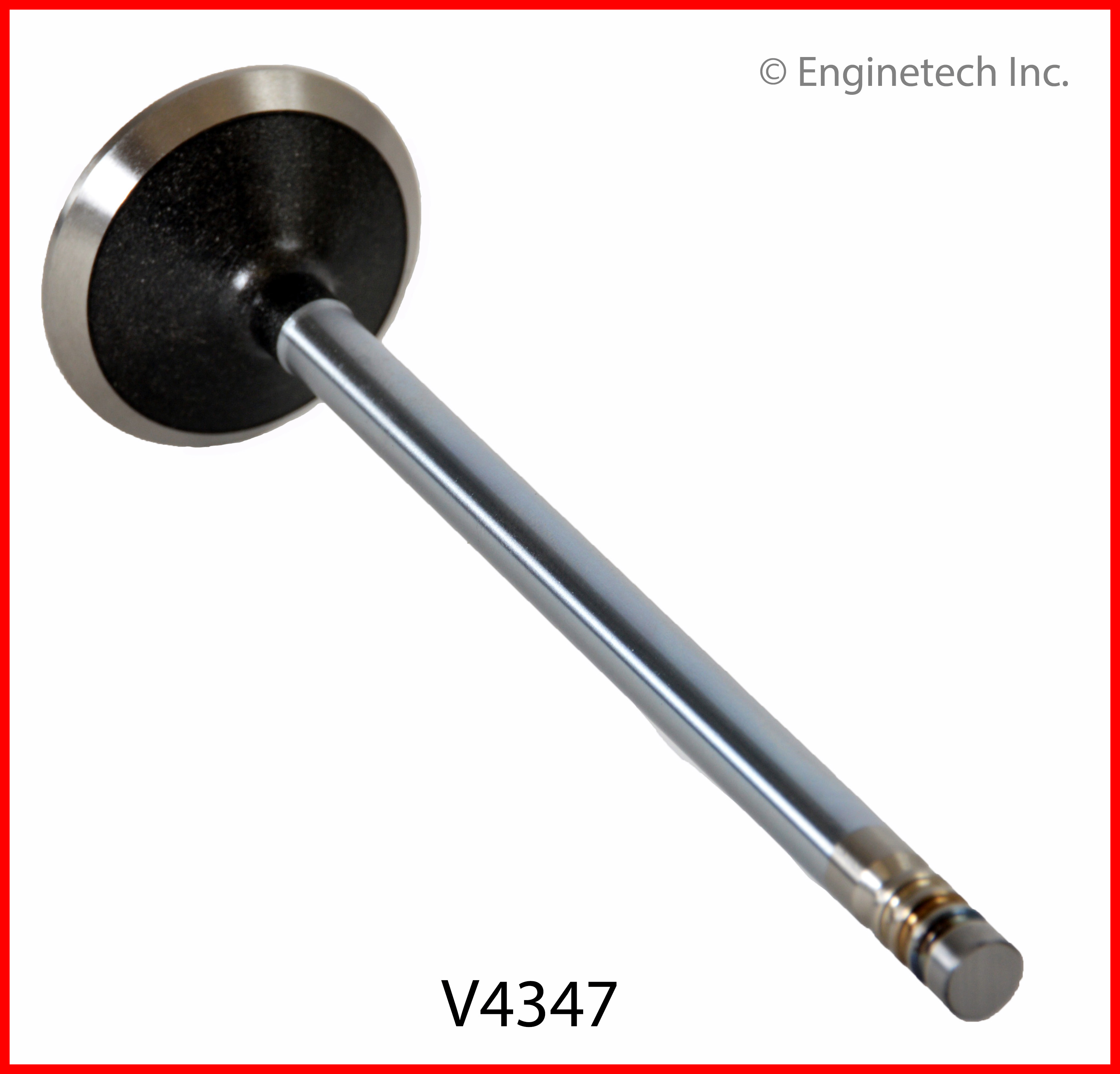 Engine Exhaust Valve