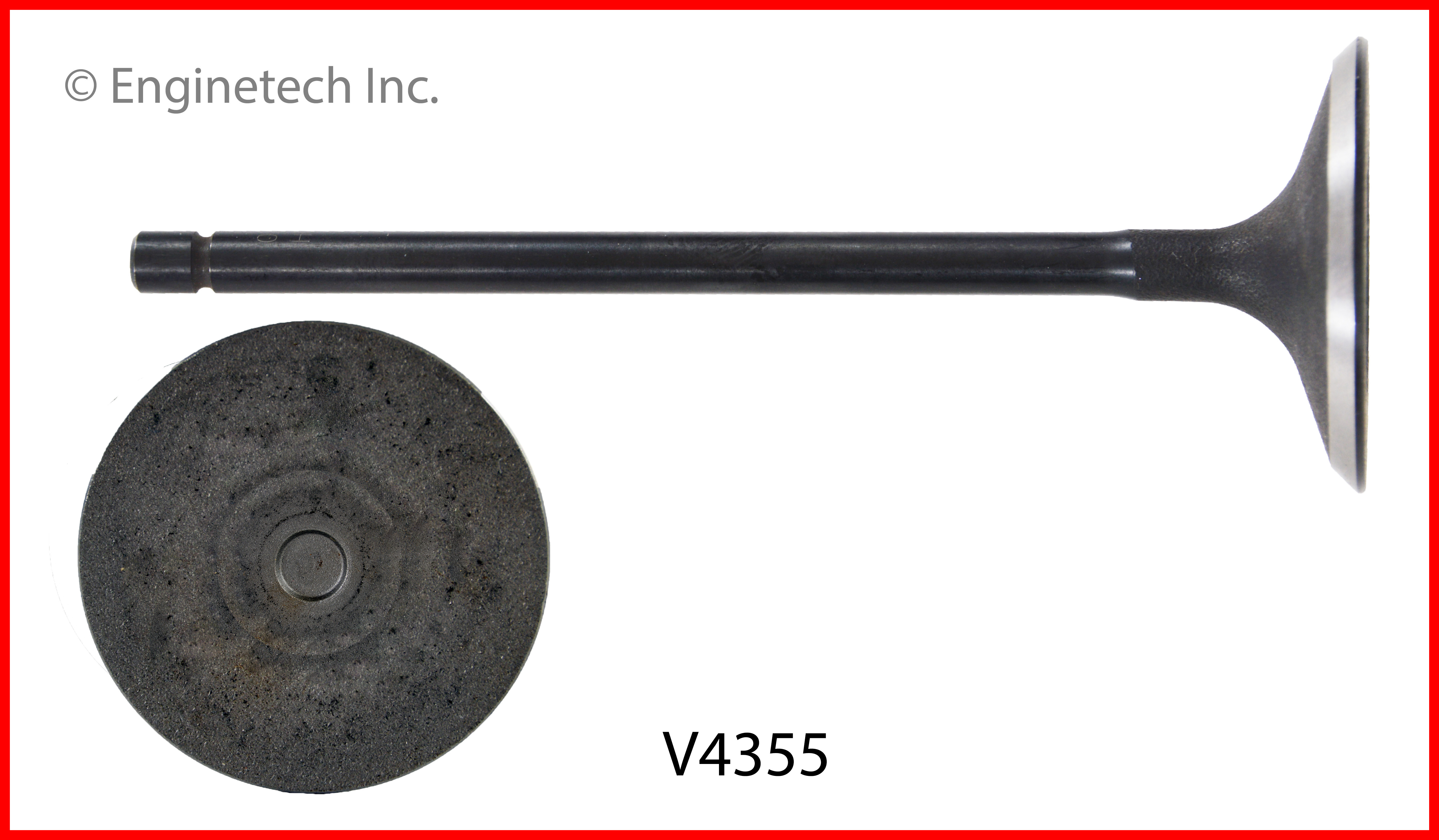 Engine Exhaust Valve