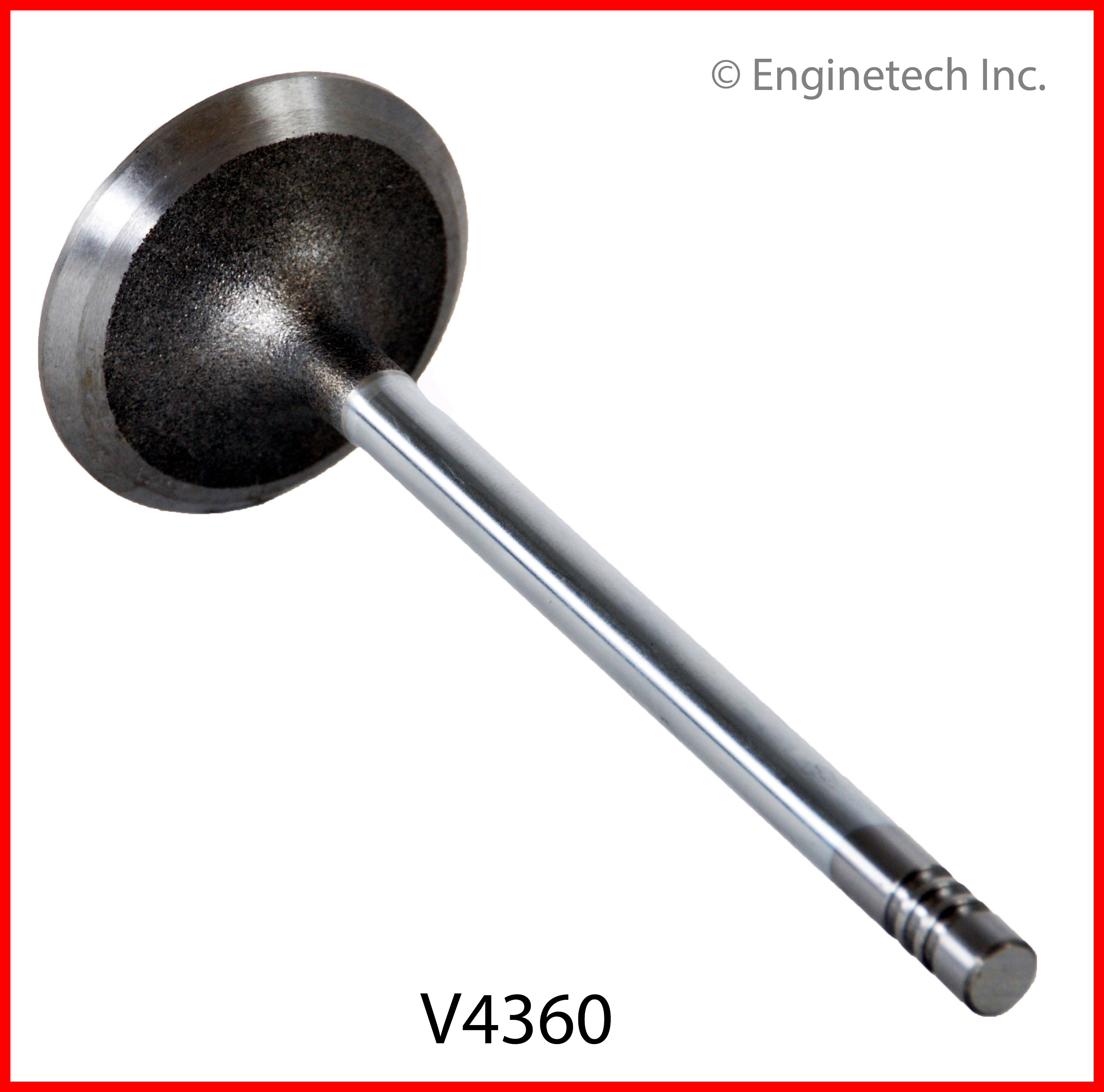 Engine Intake Valve