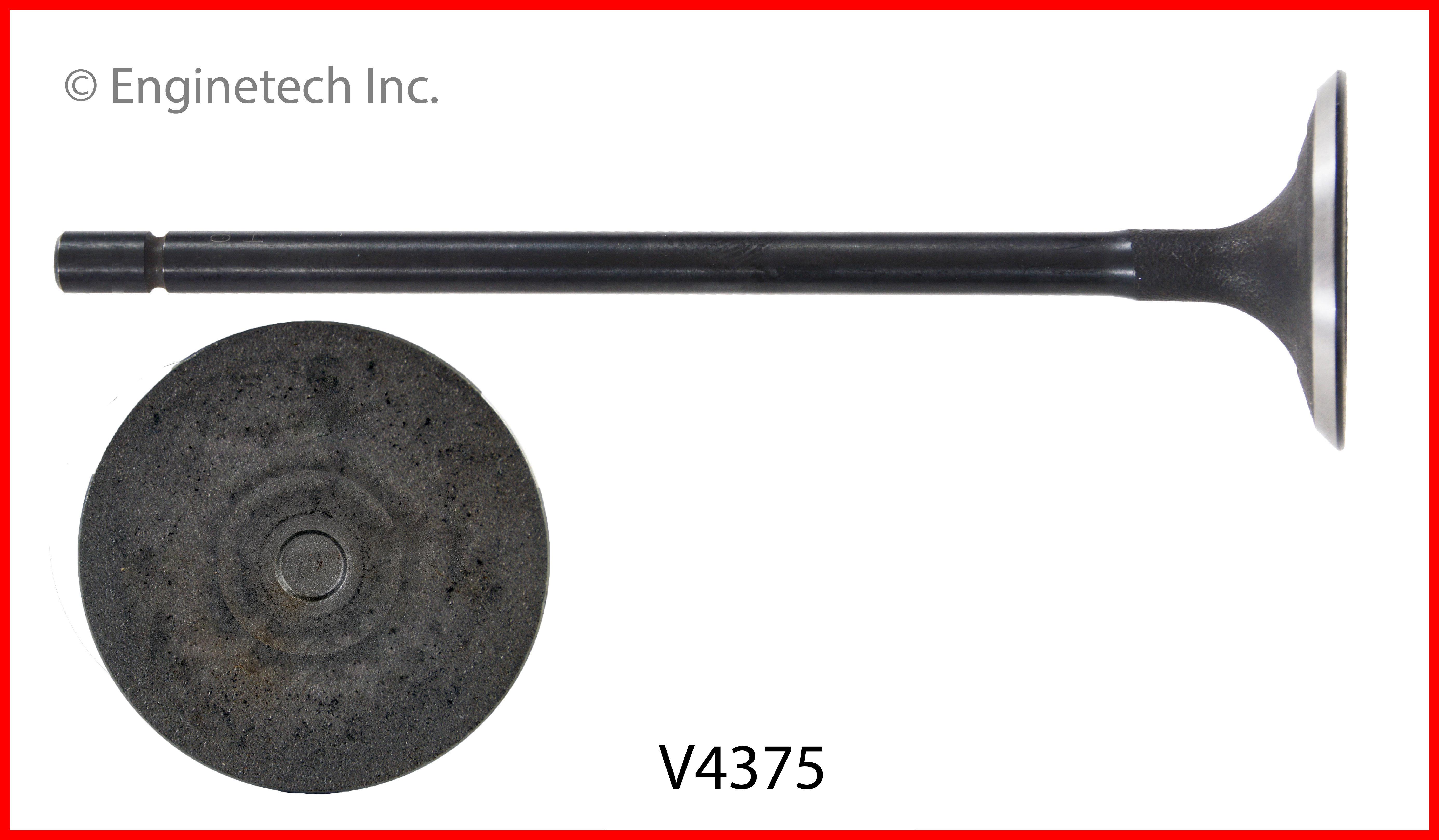 Engine Exhaust Valve