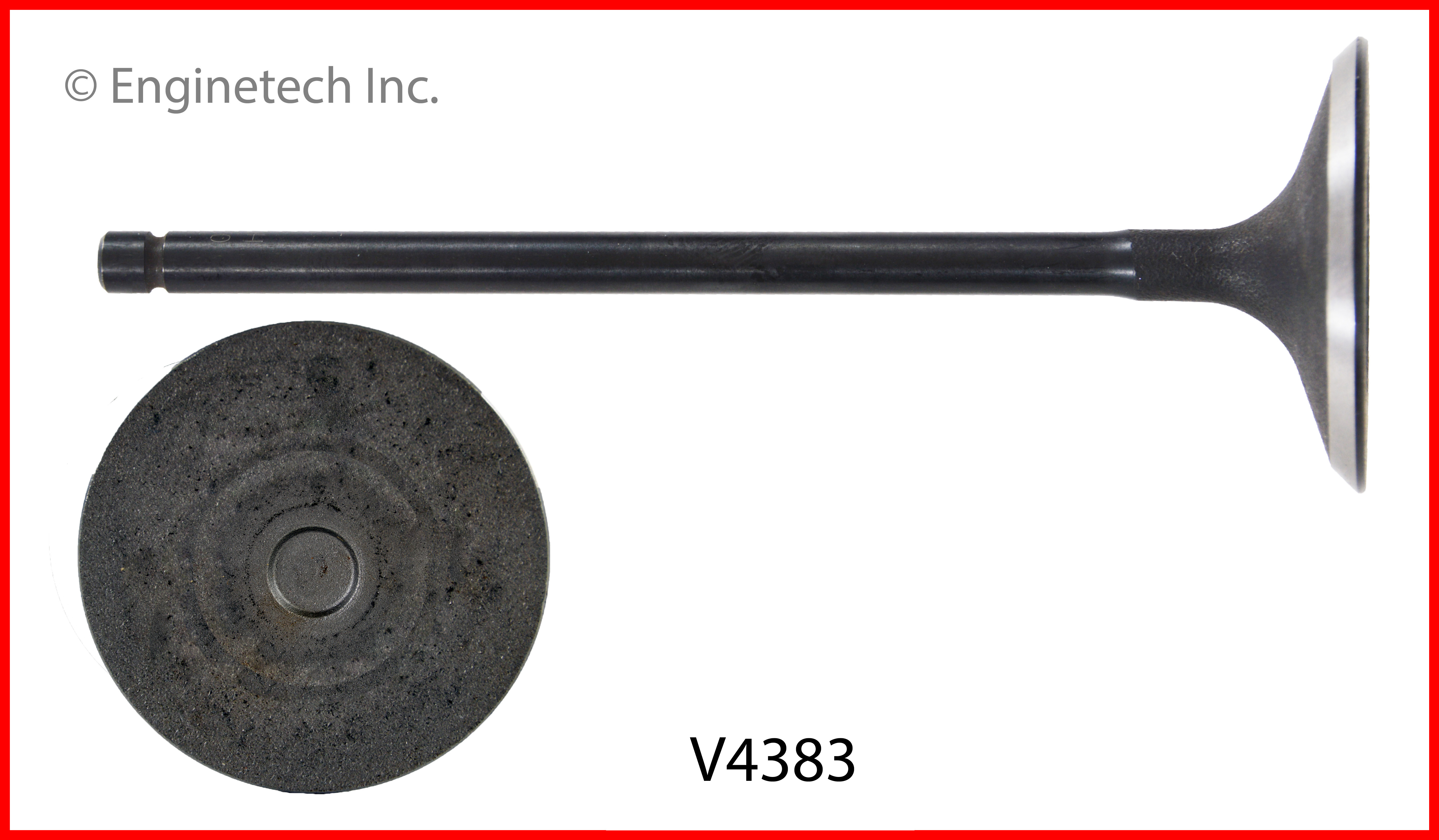 Engine Exhaust Valve