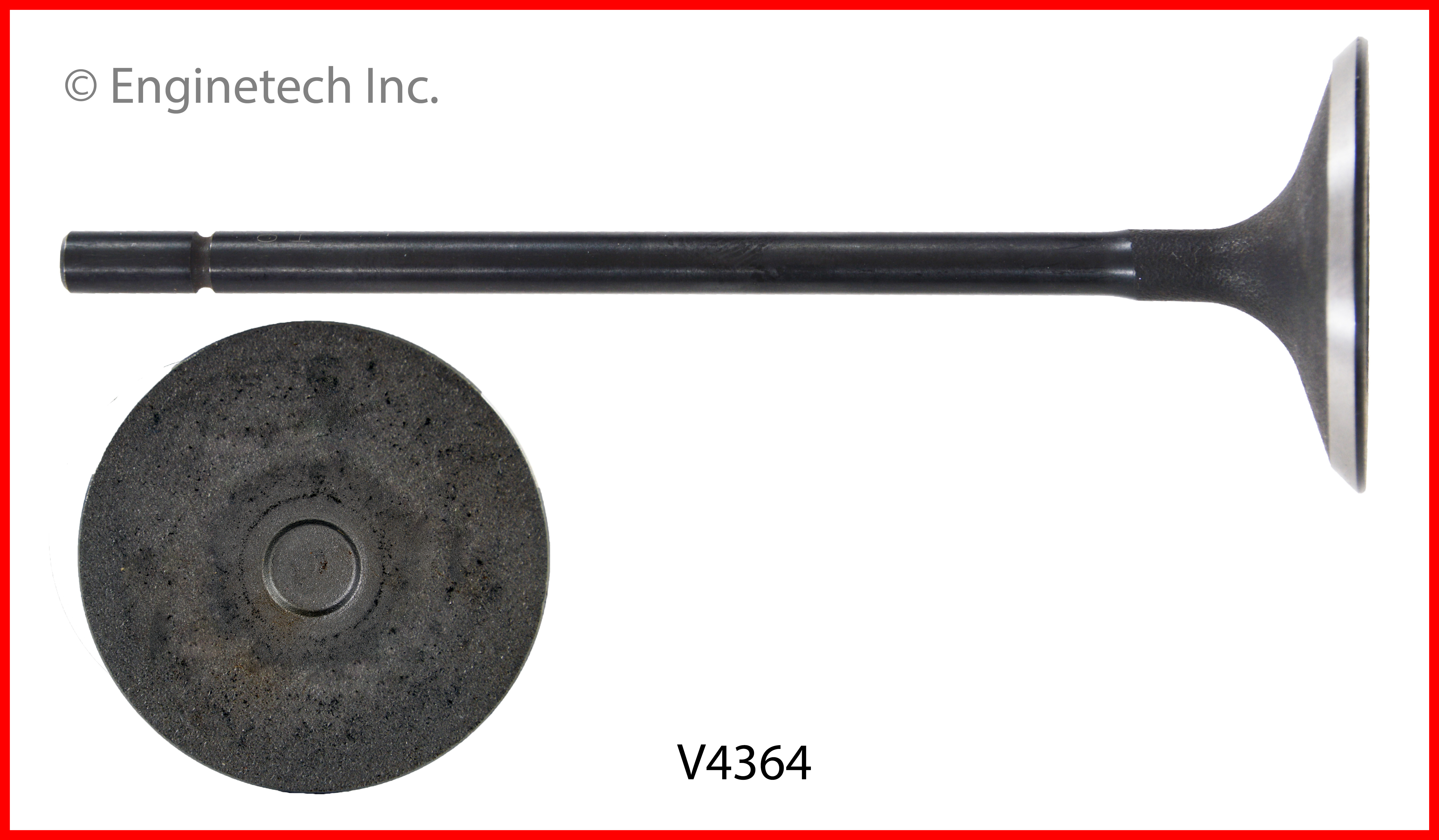 Engine Intake Valve