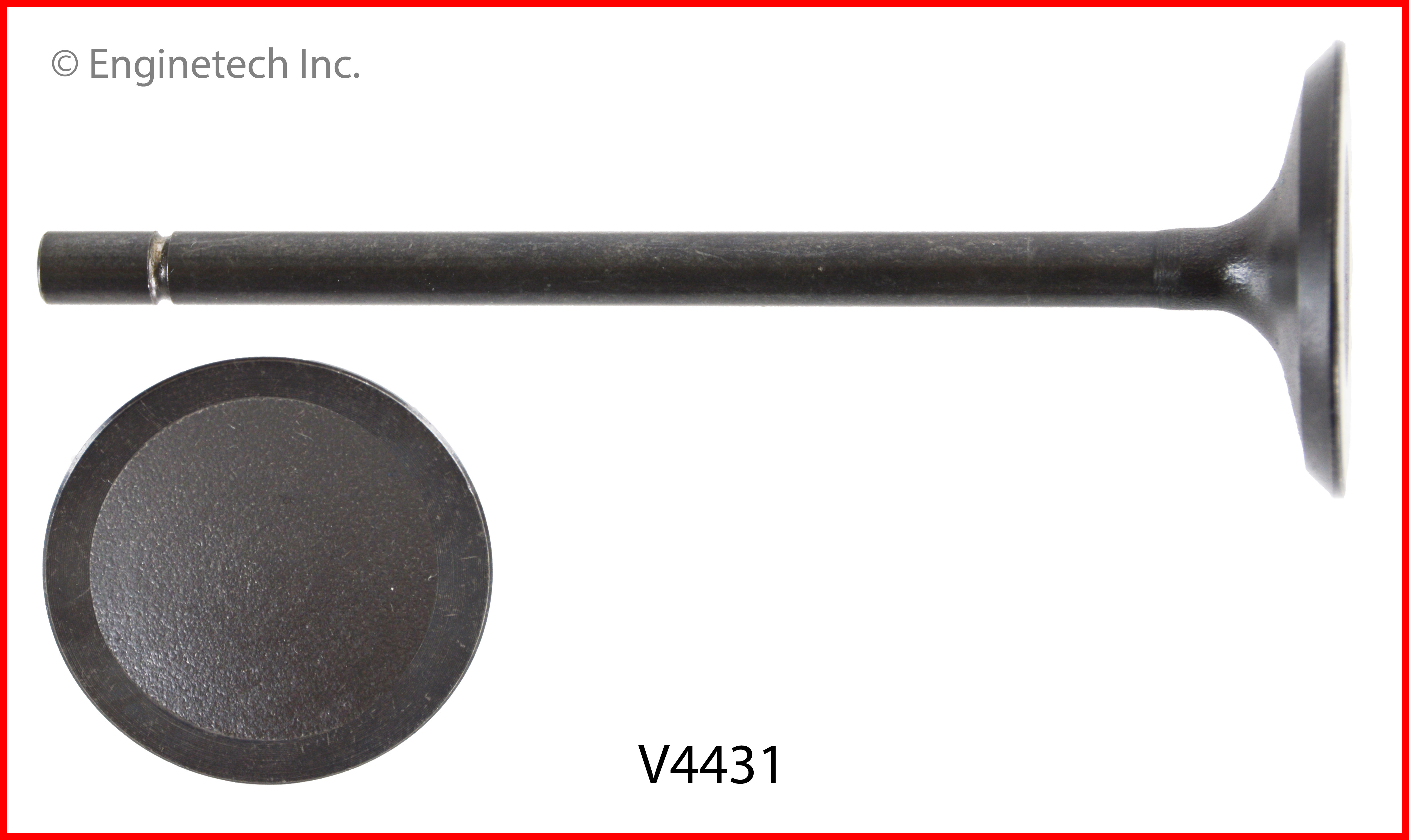 Engine Exhaust Valve