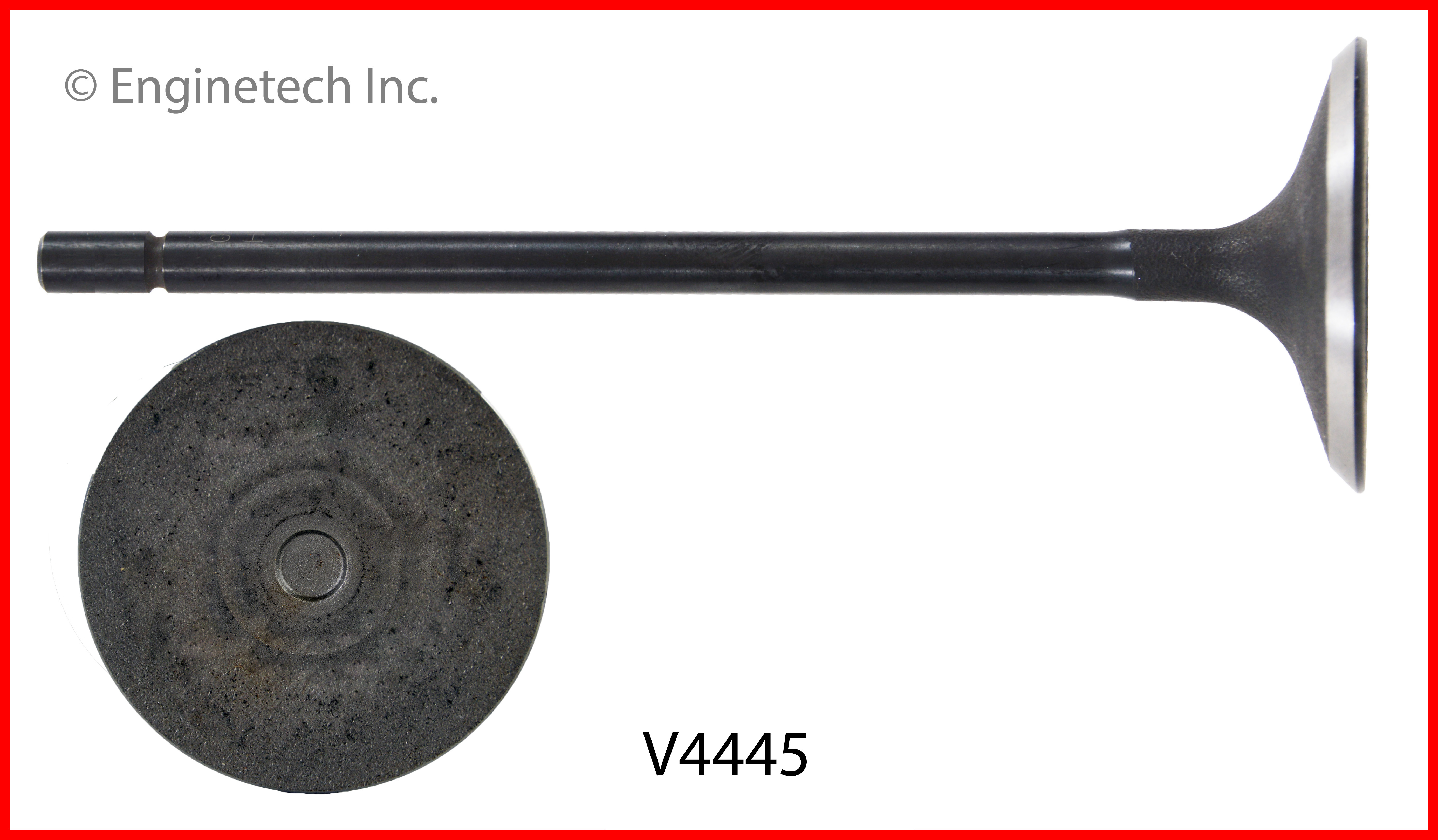 Engine Exhaust Valve