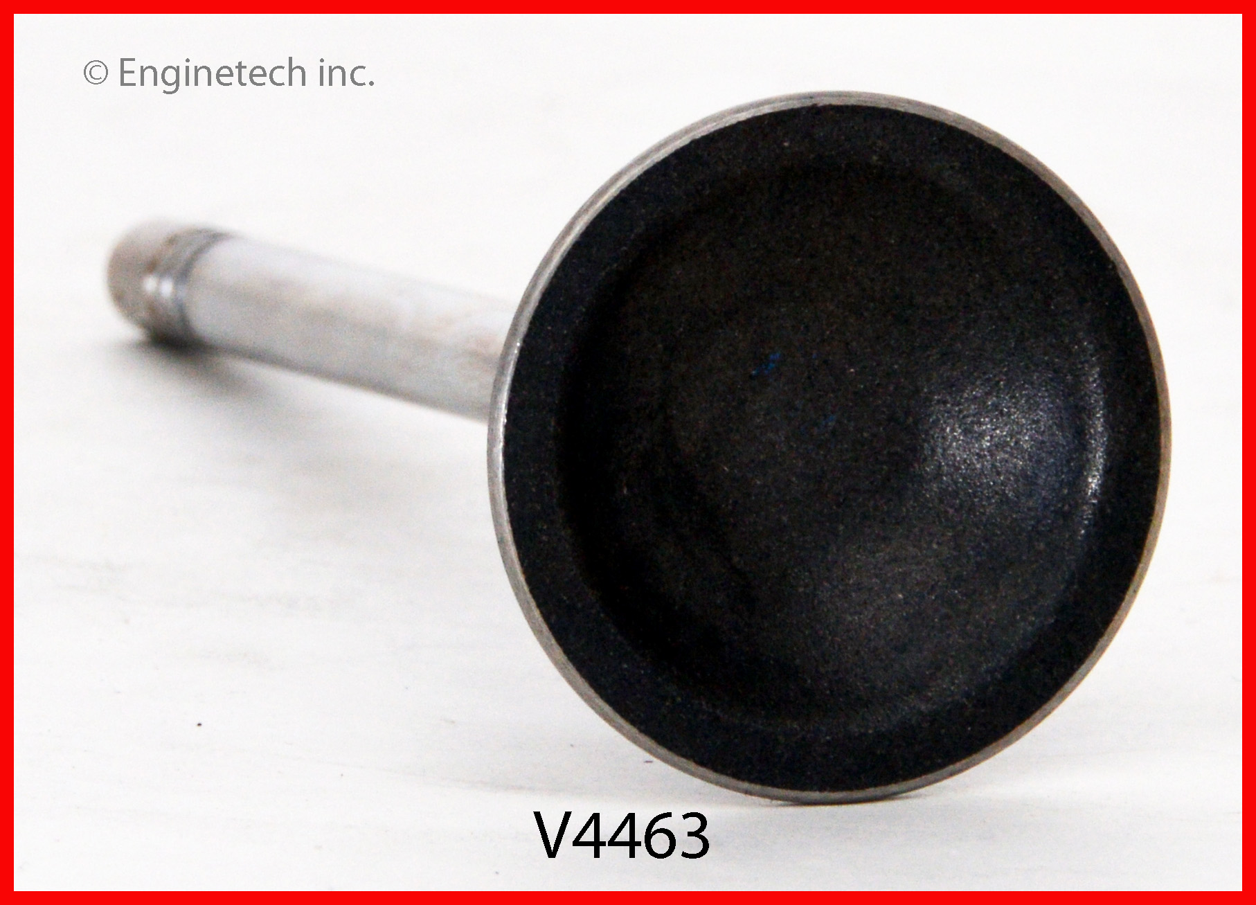 Engine Exhaust Valve