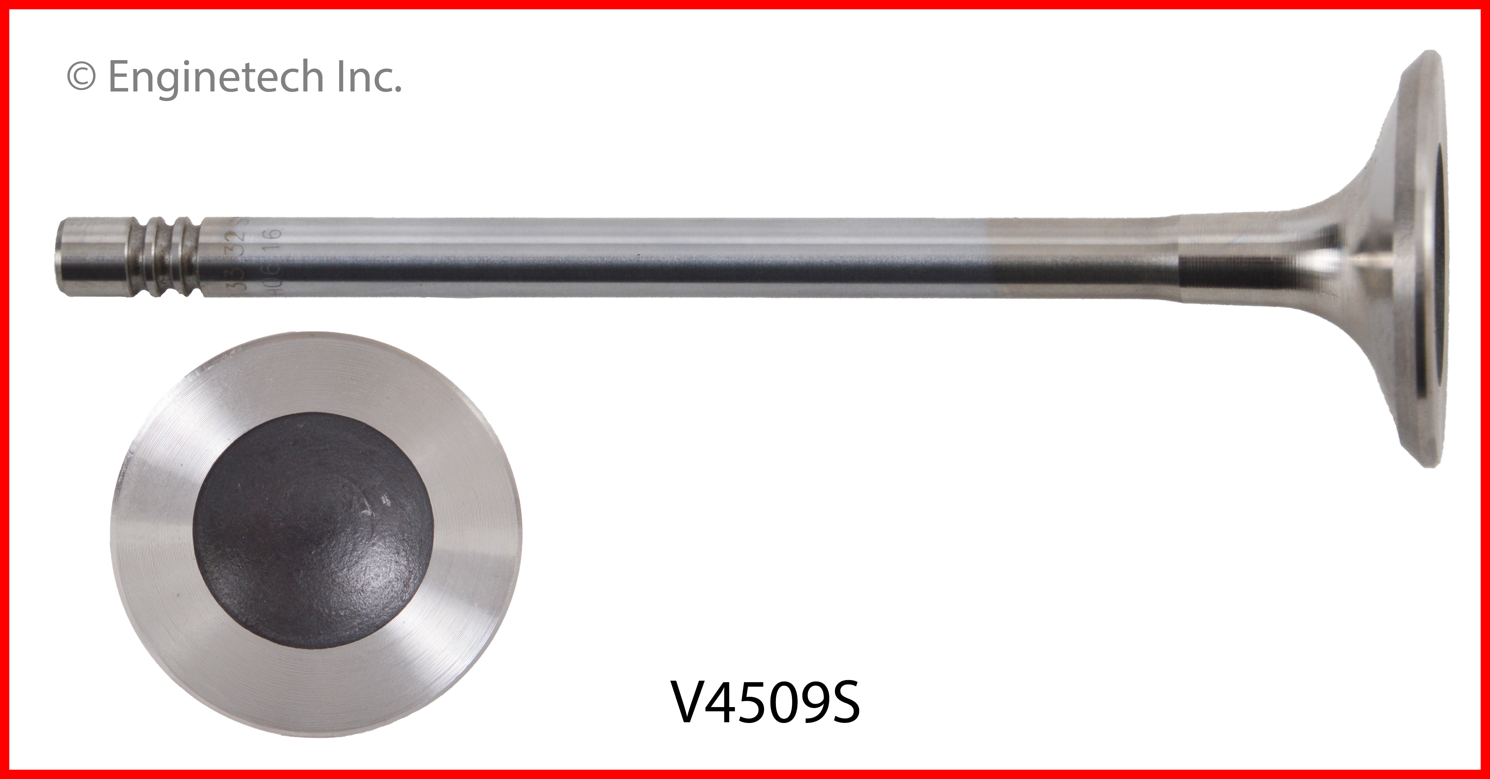 Engine Exhaust Valve