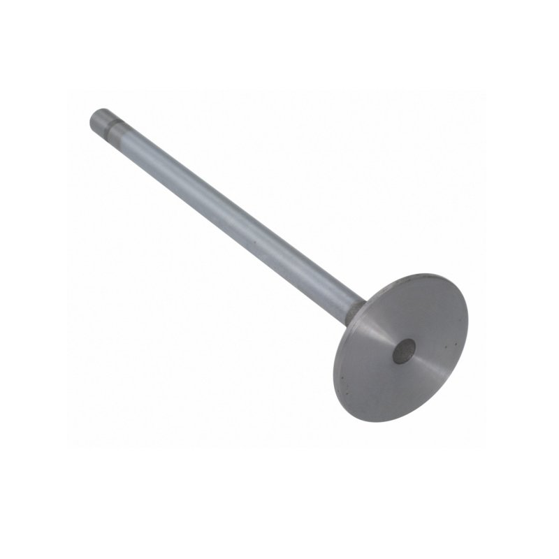 Intake Valve