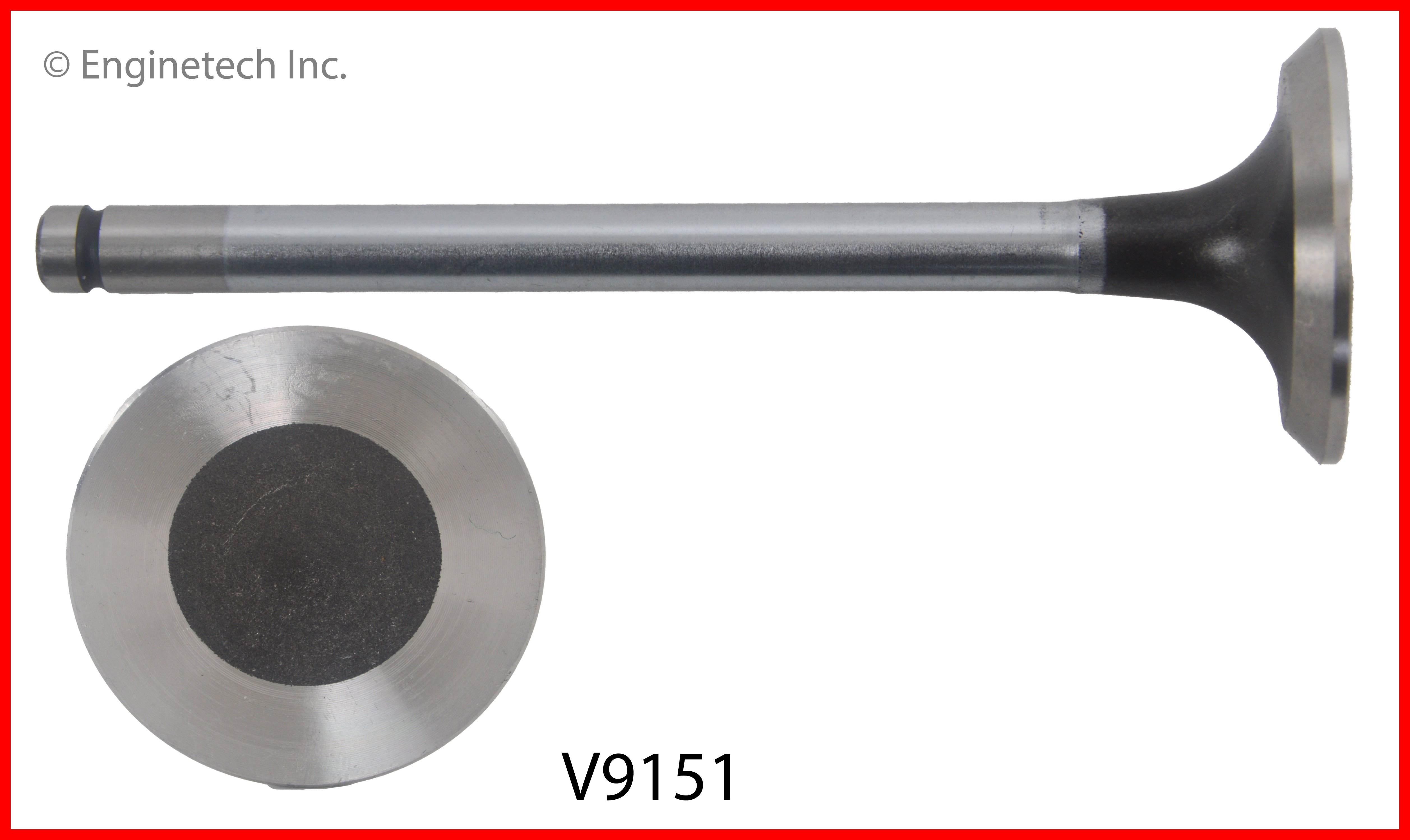 Engine Exhaust Valve