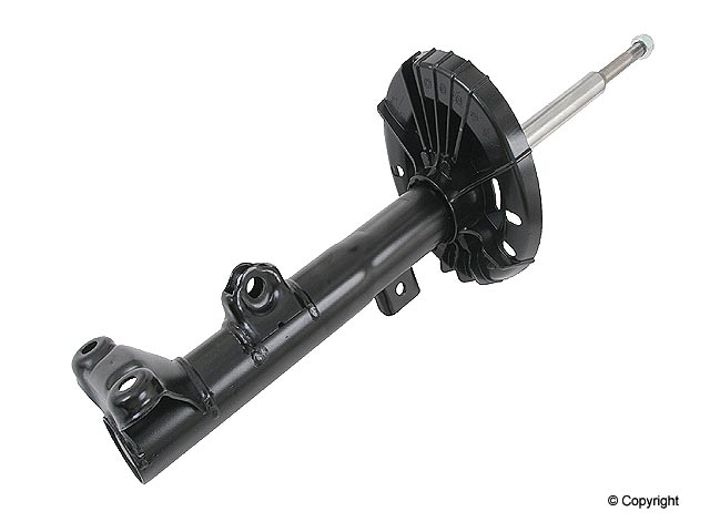 Front Strut